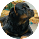 kejha rekar profile picture
