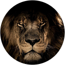 ludivine rougé profile picture