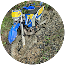 Romain Picard profile picture