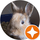 Anais Harre profile picture