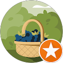 Emmanuel holtzinger profile picture