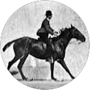 Verfaillie Anne profile picture