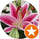 Chesterfield Ecarlate profile picture